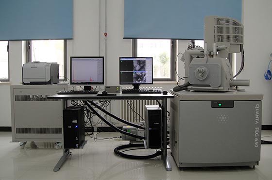 Field emission environmental scanning electron microscope    FEI Quanta 650FEG
